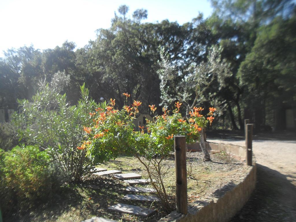 Quinta Do Outeiro Alto Villa Constância Eksteriør bilde