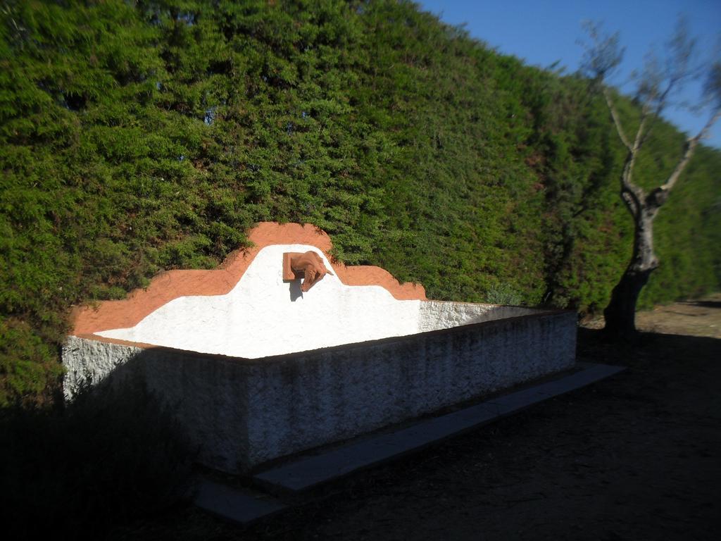 Quinta Do Outeiro Alto Villa Constância Eksteriør bilde
