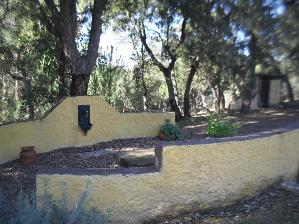 Quinta Do Outeiro Alto Villa Constância Eksteriør bilde