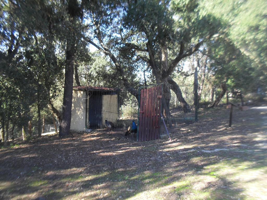 Quinta Do Outeiro Alto Villa Constância Eksteriør bilde