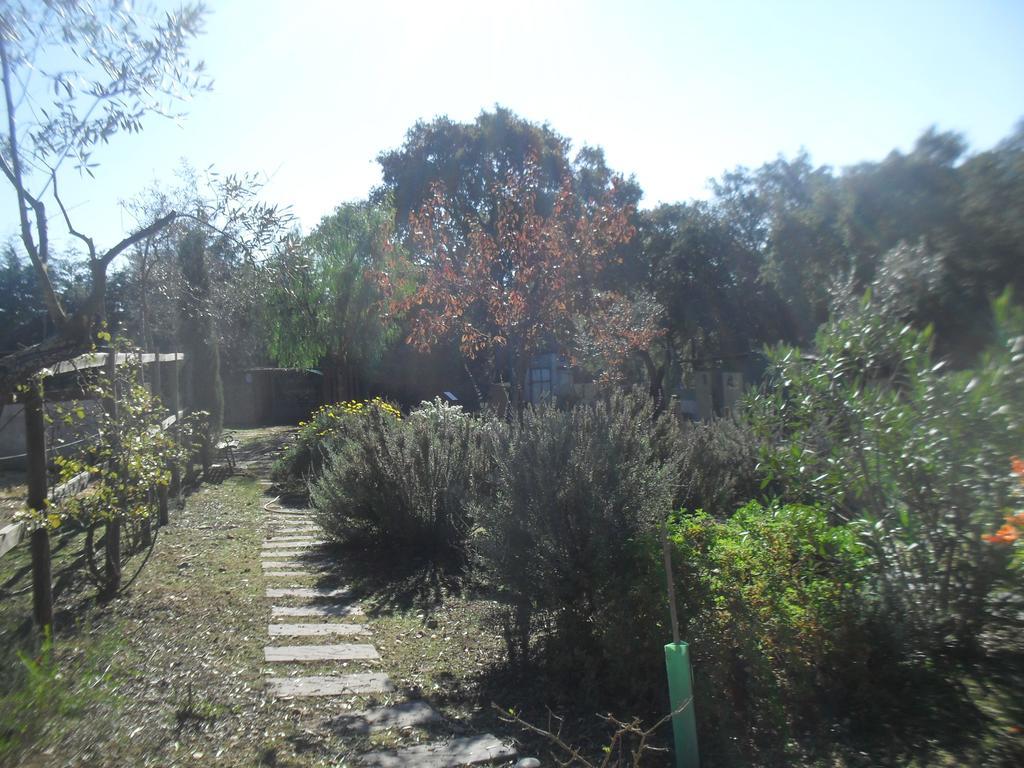 Quinta Do Outeiro Alto Villa Constância Eksteriør bilde