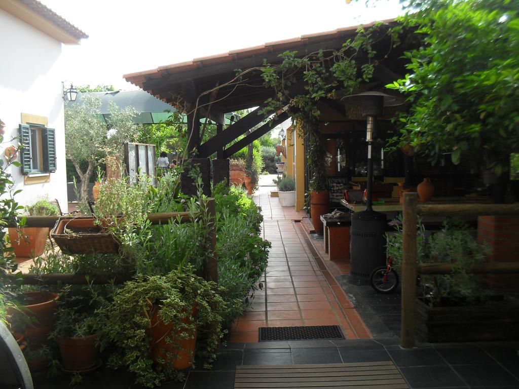 Quinta Do Outeiro Alto Villa Constância Eksteriør bilde