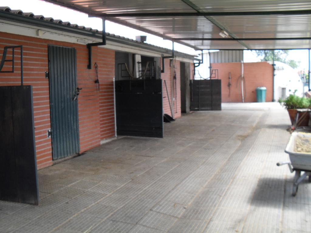 Quinta Do Outeiro Alto Villa Constância Eksteriør bilde