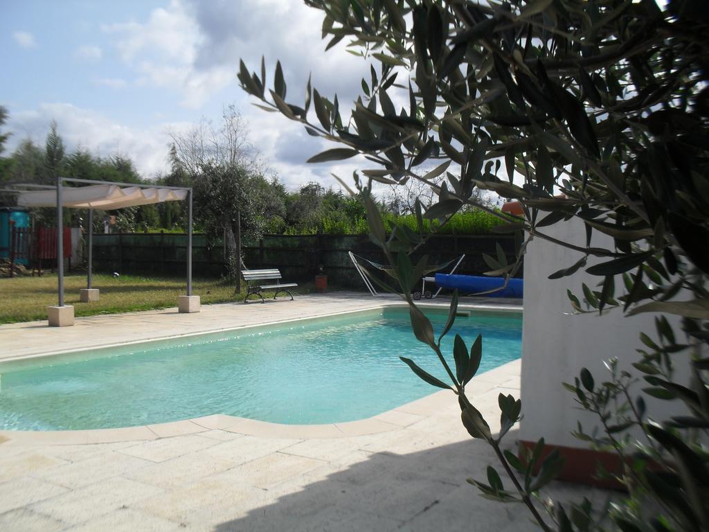 Quinta Do Outeiro Alto Villa Constância Eksteriør bilde