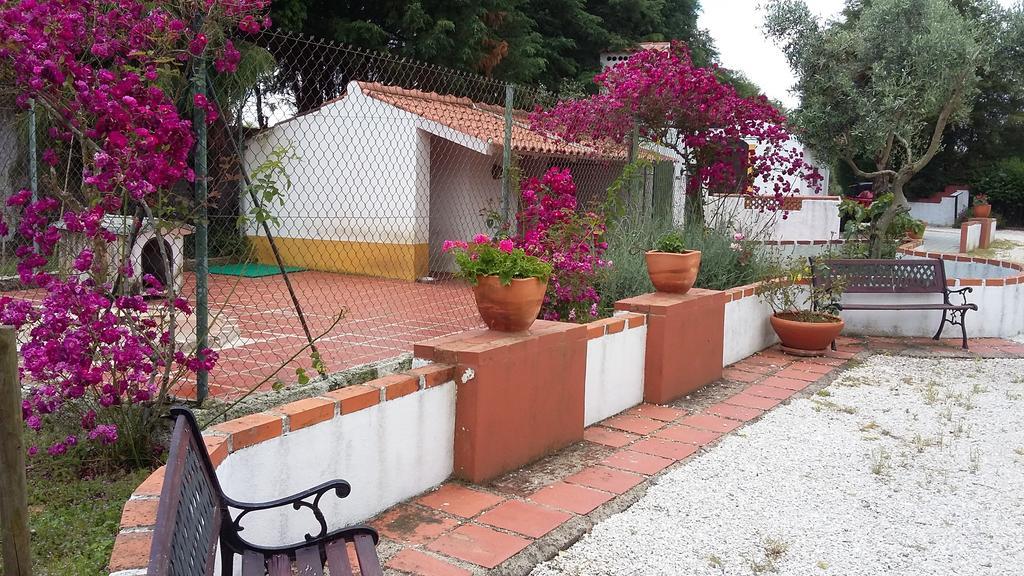 Quinta Do Outeiro Alto Villa Constância Eksteriør bilde