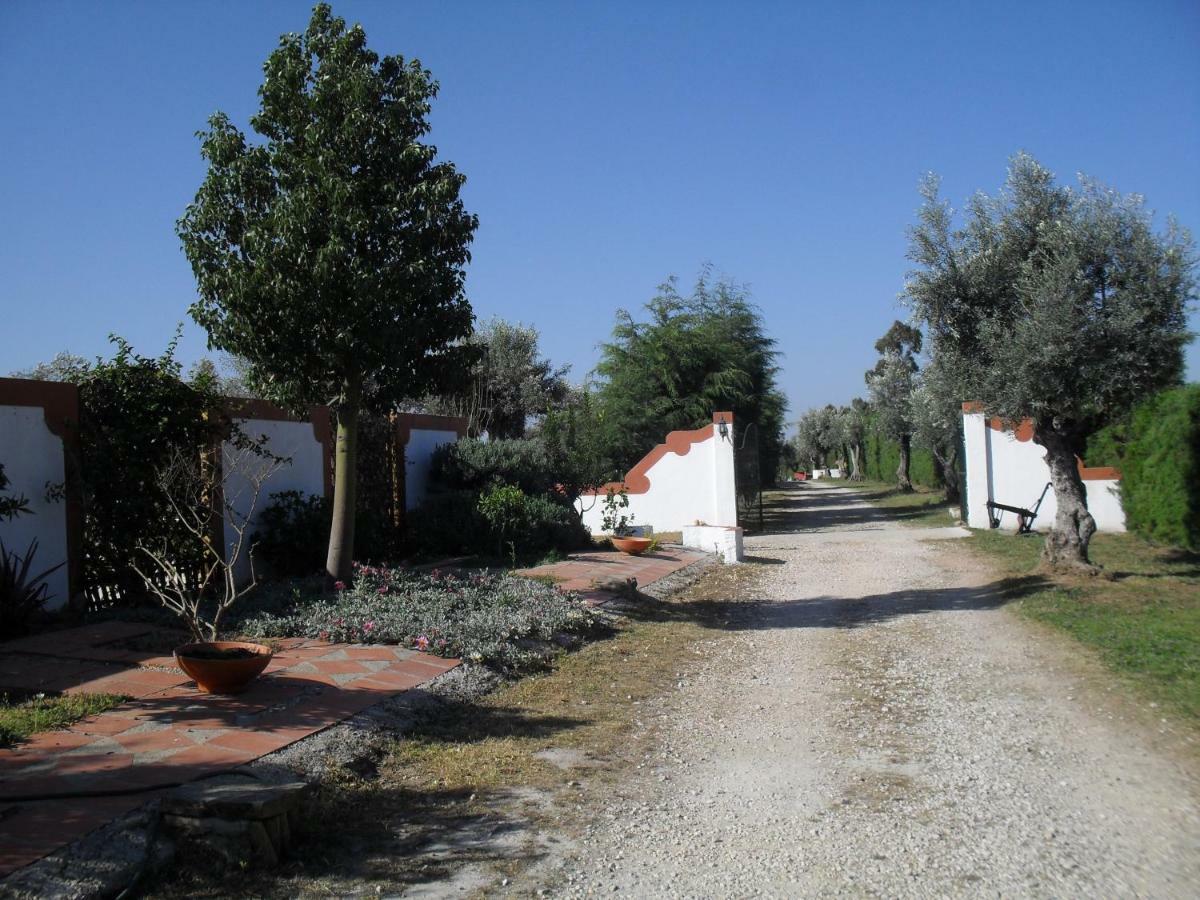 Quinta Do Outeiro Alto Villa Constância Eksteriør bilde